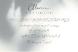 Cllarin - Modern Script Font