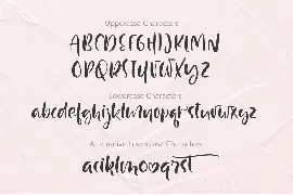 Just Case Modern Script Font