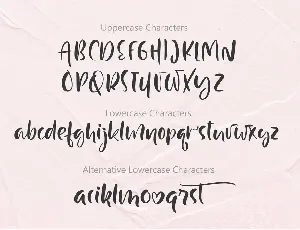 Just Case Modern Script Font