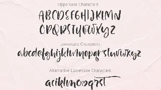 Just Case Modern Script Font