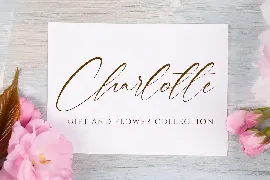 Berly Clarisa Modern Signature Handwriting Font