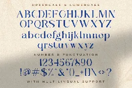 Renjany - Elegant Serif Font