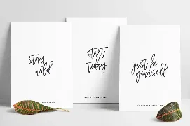 Wilderness Typeface font