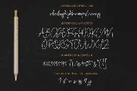 Cassual Signature font