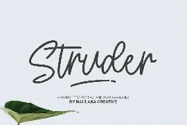 Hartwod Handwritten Font