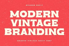 Dragon Serif - Modern Vintage Serif Font