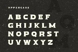 Dragon Serif - Modern Vintage Serif Font