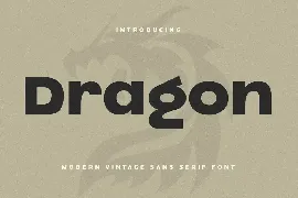 Dragon Sans Serif - Modern Vintage Sans Serif Font