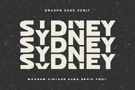 Dragon Sans Serif - Modern Vintage Sans Serif Font