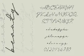 Andalusia a Beautiful Script Font