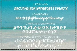 Amigos - Summer Font