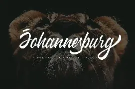 Wakanda Script Business Font