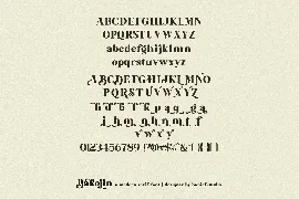 Bakojin - Modern Serif Font