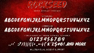 ROCKSEED - Brush Display Typeface font