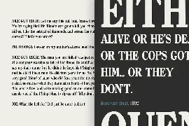 Quentin Serif font