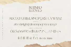 Rolinko - Classy Elegant Serif font