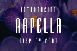 Rapella Font