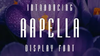 Rapella Font