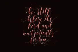 Still Shine Script - Modern Calligraphy font