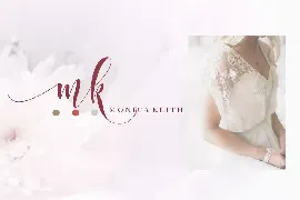 Still Shine Script - Modern Calligraphy font