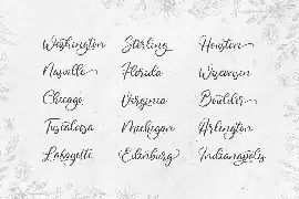 Abigail - Lovely Script Font