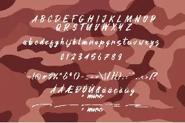 Qlusive font