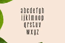 Galvin Slab Serif Font Family Pack