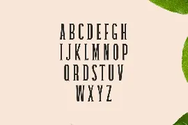 Galvin Slab Serif Font Family Pack