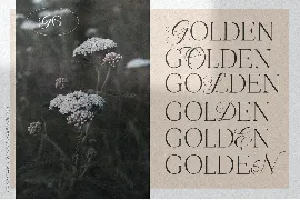 Going Golden Font Family