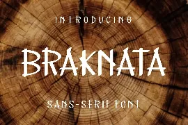 Braknata Font