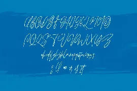 Hawkins Signature Brush Font