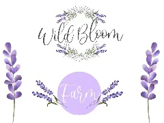 Sweet Lavender Calligraphy Font