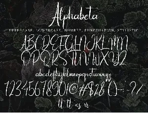 Alphabeta font