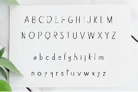 Alexiss Sans Serif Font