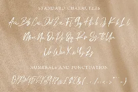 Handwritten Script Font