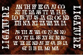 The Western Gold font