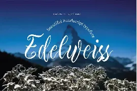 Edelweiss - Script font