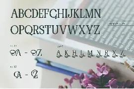 RENDA - Serif font