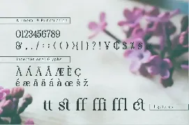 RENDA - Serif font