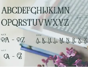 RENDA - Serif font