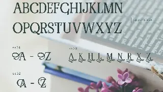 RENDA - Serif font