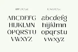 Zolina - Modern Font family