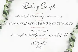 Balony Script Business Font