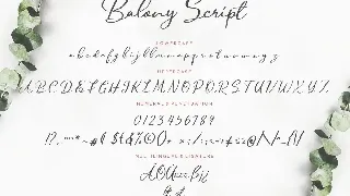 Balony Script Business Font