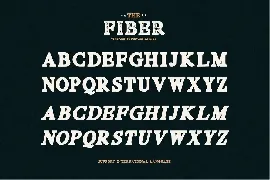 Fiber - Vintage Serif Font