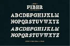 Fiber - Vintage Serif Font