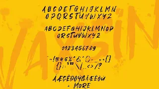 Vaxsin font