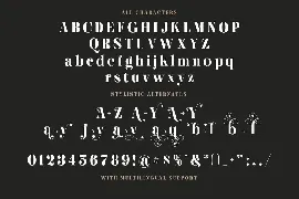 Hugiller - Stylish Serif font