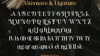 Ramesha - Modern Serif Font