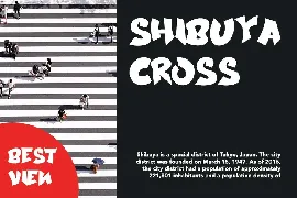 Shibuya Zone - Japanese Font Style